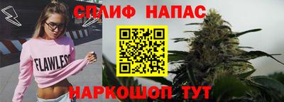 крисы Будённовск