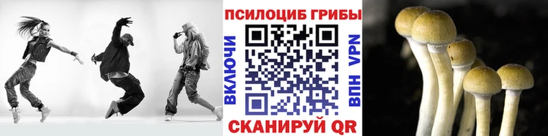 Галлюциногенные грибы Magic Shrooms  гидра ТОР  Лесной 