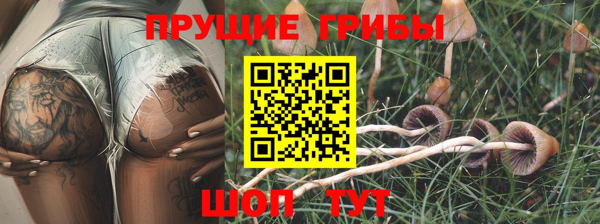 Лесной  Галлюциногенные грибы Magic Shrooms  Галлюциногенные грибы MAGIC MUSHROOMS  Вход с VPN 